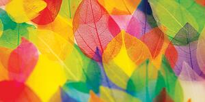 Obraz listy v jesenných farbách