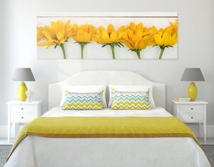 Obraz nádherné žlté kvety