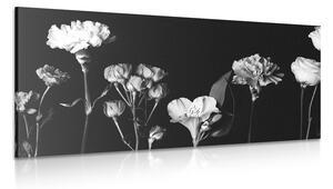 Obraz elegantné čiernobiele kvety