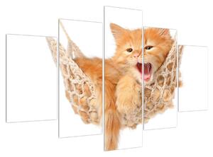Obraz mačky v sieti (150x105 cm)