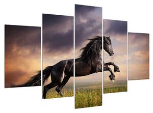 Obraz koní (150x105 cm)