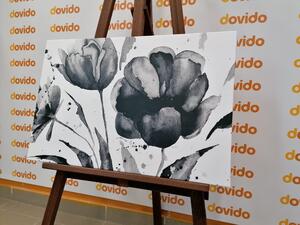 Obraz nádherné čiernobiele tulipány v zaujímavom prevedení