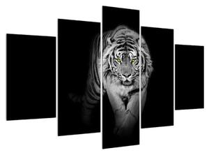 Čiernobiely obraz tigra (150x105 cm)