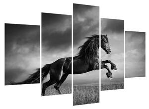 Čiernobiely obraz koňa (150x105 cm)