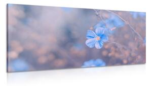 Obraz modré kvety na vintage pozadí