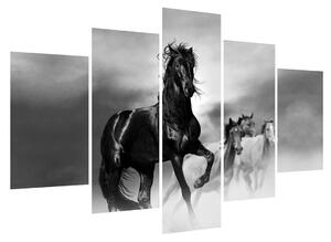 Obraz koňa (150x105 cm)