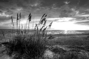 Obraz západ slnka na pláži v čiernobielom prevedení