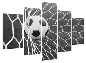 Futbalová lopta v sieti (150x105 cm)