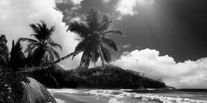 Obraz nádherná pláž na ostrove Seychely v čiernobielom prevedení