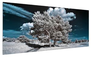 Obraz snehovo bieleho stromu (120x50 cm)
