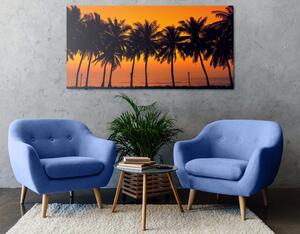 Obraz západ slnka nad palmami