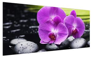 Obraz orchideí (120x50 cm)