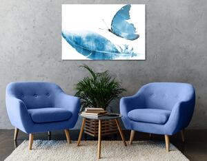 Obraz pierko s motýľom v modrom prevedení