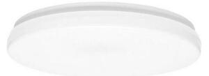 Ecolite W3090-12W - LED Kúpeľňové stropné svietidlo LIRA LED/12W/230V IP44