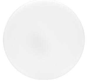 Ecolite W3090-12W - LED Kúpeľňové stropné svietidlo LIRA LED/12W/230V IP44