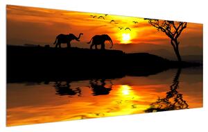 Obraz africkej krajiny so slonom (120x50 cm)