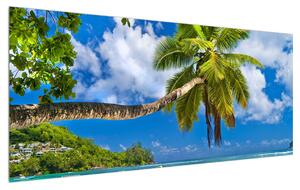 Obraz palmy a pláže (120x50 cm)