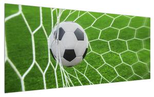 Obraz futbalovej lopty v sieti (120x50 cm)
