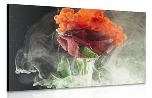 Obraz ruža s abstraktnými prvkami