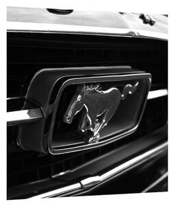 Detailný obraz automobilu značky Mustang (30x30 cm)