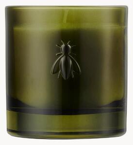 Vonná sviečka Abeille (Fig)
