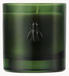 Vonná sviečka Abeille (Cedar & Cypress)