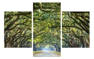 Obraz stromovej aleje (90x60 cm)