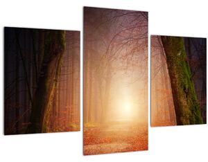 Obraz jesenného lesa v hmle (90x60 cm)