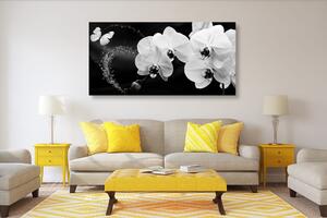 Obraz čiernobiela orchidea a motýľ