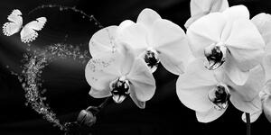Obraz čiernobiela orchidea a motýľ