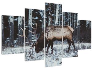 Obraz - jeleň v zime (150x105 cm)