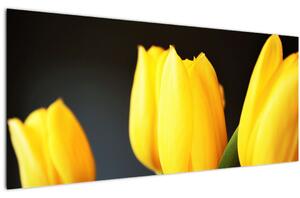 Obraz tulipánov (120x50 cm)