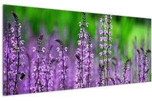 Obraz fialových lúčnych kvetov (120x50 cm)