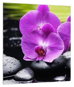 Obraz orchideí (30x30 cm)
