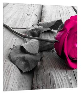 Obraz ružovej ruže (30x30 cm)