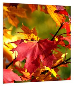 Obraz jesenných listov (30x30 cm)