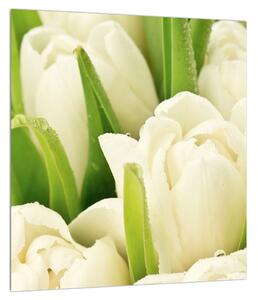 Obraz kvetov tulipánov (30x30 cm)