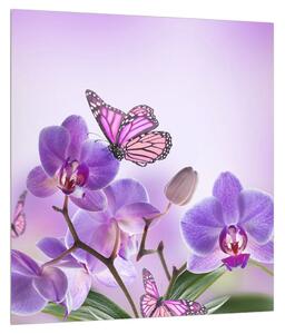 Obraz motýľa na kvetoch orchidee (30x30 cm)