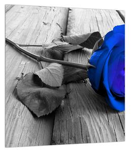Obraz modrej ruže (30x30 cm)
