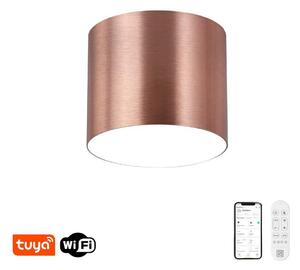 Immax NEO 07319L - LED stmievateľné stropné svietidlo RONDATE 18W/230V 11,5 cm Wi-Fi Tuya ružové