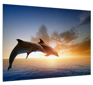 Obraz delfínov (70x50 cm)