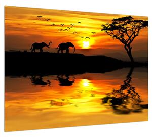 Obraz africkej krajiny so slonom (70x50 cm)