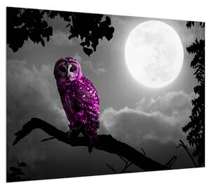 Obraz nočnej sovy (70x50 cm)