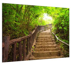 Letný obraz schodov v prírode (70x50 cm)