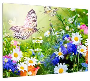 Obraz letných kvetov s motýľom (70x50 cm)