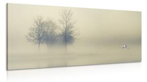 Obraz stromy v hmle