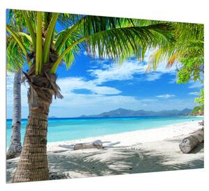 Obraz palmy a pláže (70x50 cm)
