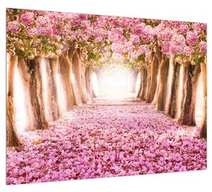 Obraz kvetinového chodníka (70x50 cm)