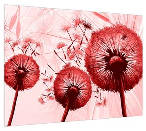 Obraz červeného páperia púpav (70x50 cm)