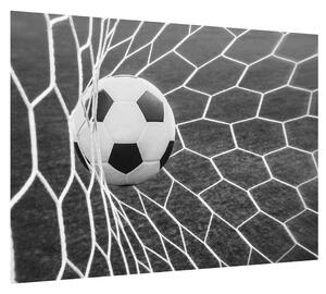 Futbalová lopta v sieti (70x50 cm)